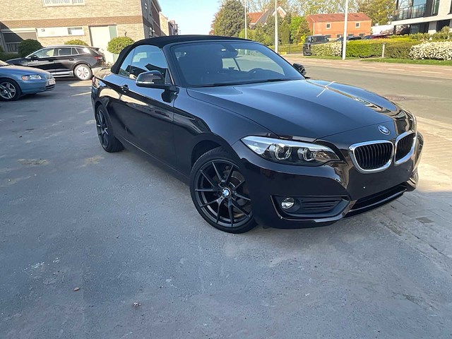 2018 bmw 218i cabrio personenauto - afbeelding 22 van  23