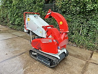 2019 bugnot bvn34 houthakselaar op rubsen - afbeelding 3 van  10