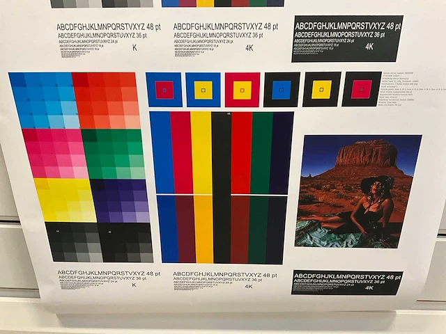 2019 canon colorado 1650 roll-to-roll uv-gel grootformaat printer - afbeelding 13 van  16
