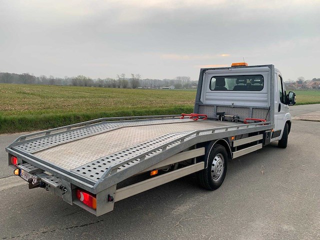 2019 fiat ducato - afbeelding 4 van  10