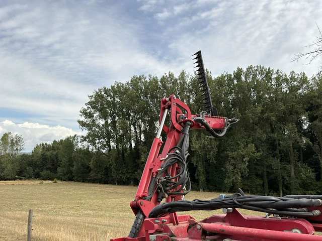 2019 gianni ferrari hdg2s takkenschaar/heggenschaar - afbeelding 3 van  29