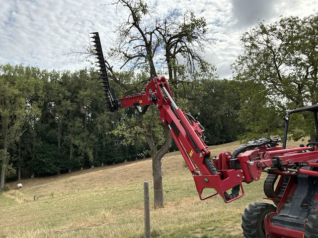 2019 gianni ferrari hdg2s takkenschaar/heggenschaar - afbeelding 4 van  29