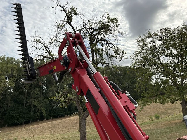 2019 gianni ferrari hdg2s takkenschaar/heggenschaar - afbeelding 6 van  29