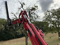 2019 gianni ferrari hdg2s takkenschaar/heggenschaar - afbeelding 6 van  29