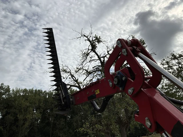 2019 gianni ferrari hdg2s takkenschaar/heggenschaar - afbeelding 8 van  29