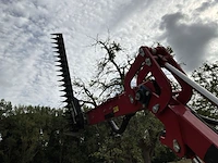 2019 gianni ferrari hdg2s takkenschaar/heggenschaar - afbeelding 8 van  29