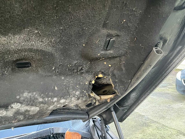 2019 land rover discovery sport - afbeelding 16 van  26