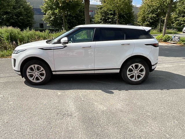 2019 land rover range rover evoque 2.0 hybride full option - afbeelding 6 van  12