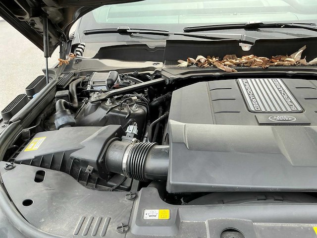 2019 land rover sv autobiography - afbeelding 27 van  40