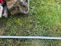 2019 timan fm-1000 - afbeelding 14 van  22