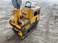 2020 ammann aph 50/75 trilplaat - afbeelding 4 van  8