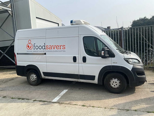 2020 fiat 250 koelwagen - afbeelding 5 van  7