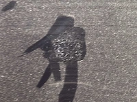 2020 ford fiesta st-line auto - afbeelding 32 van  37