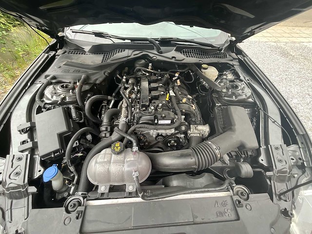 2020 ford mustang mustang ecoboost fastback auto - afbeelding 25 van  38