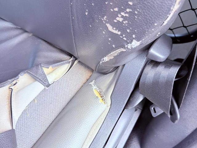 2020 renault kangoo lichte vracht - 77000km - euro 6 - afbeelding 24 van  35