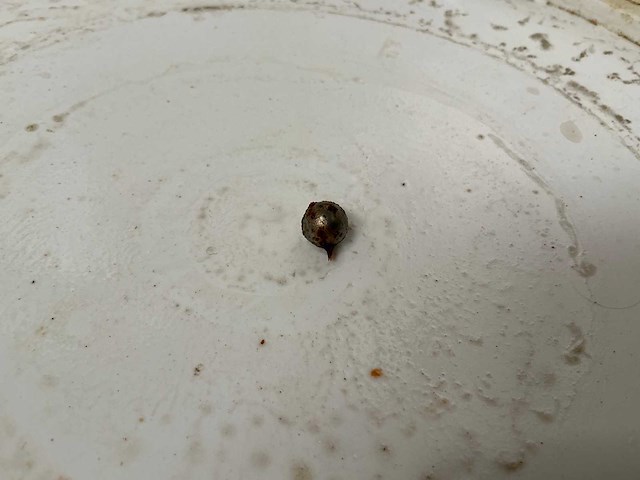 2020 sahin mksr-b1m3 kogelmenger - afbeelding 2 van  12