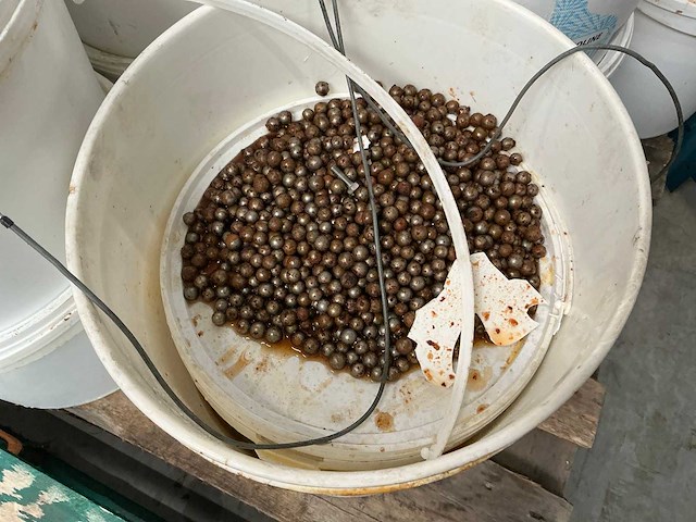 2020 sahin mksr-b1m3 kogelmenger - afbeelding 3 van  12