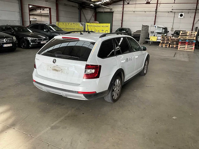 2020 skoda octavia - afbeelding 18 van  31