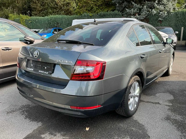 2020 skoda octavia - afbeelding 17 van  23