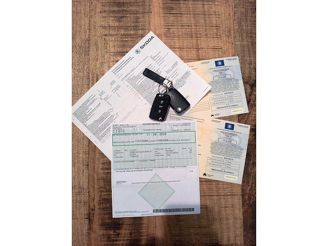 2020 | skoda | scala | automaat | garantie! - afbeelding 33 van  39