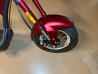 2021 mangosteen m1 - e-scooter - afbeelding 9 van  12