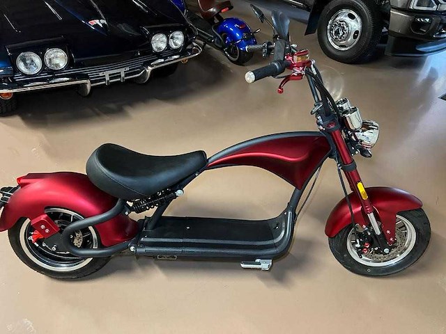 2021 mangosteen m1 - e-scooter - afbeelding 10 van  11