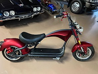 2021 mangosteen m1 - e-scooter - afbeelding 10 van  11