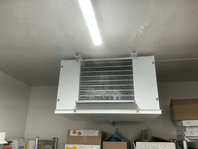 2021 pego vriescel - afbeelding 10 van  10