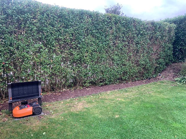 2021 wordpress landroid m500 plus robot grasmaaier - afbeelding 6 van  7