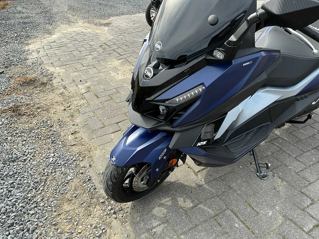 2022 sym cruisym 125 motorfiets - afbeelding 4 van  14