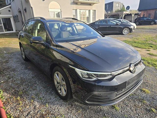 2022 volkswagen golf 8 etsi personenauto - afbeelding 1 van  13