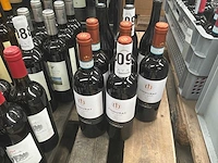2023 ziggurat montefalco lunelli rode wijn (5x) - afbeelding 4 van  4