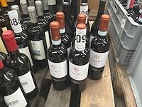 2023 ziggurat montefalco lunelli rode wijn (5x) - afbeelding 4 van  4