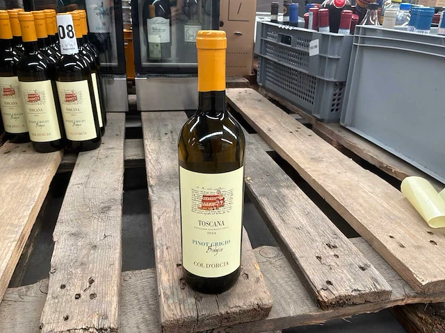 2024 toscane pinot grigio witte wijn (12x) - afbeelding 1 van  4