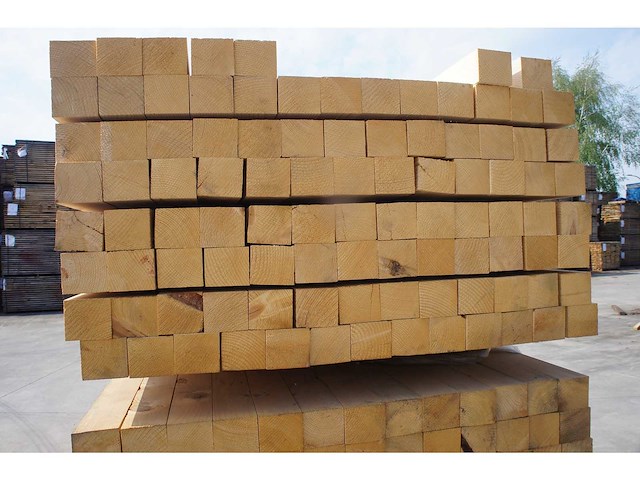 202.80 lm dennen kepers - afbeelding 5 van  5