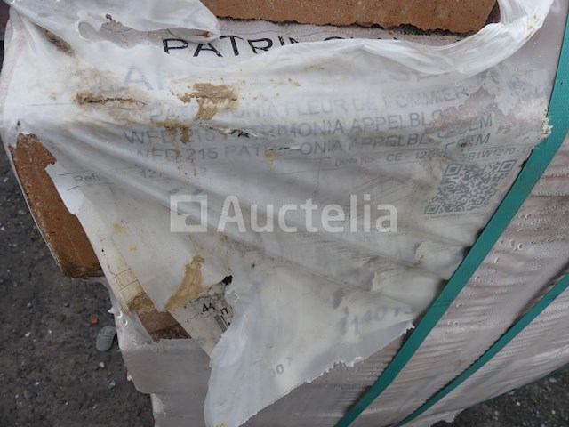 2040 wienerberger patrimonia appelbloesem bakstenen - afbeelding 1 van  5