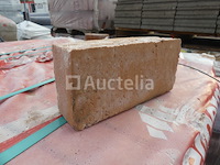 2040 wienerberger patrimonia appelbloesem bakstenen - afbeelding 2 van  5