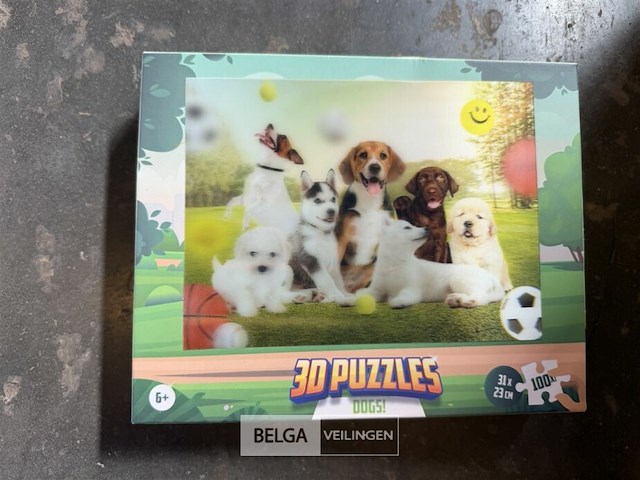 ± 20x 3d-puzzels - afbeelding 4 van  6