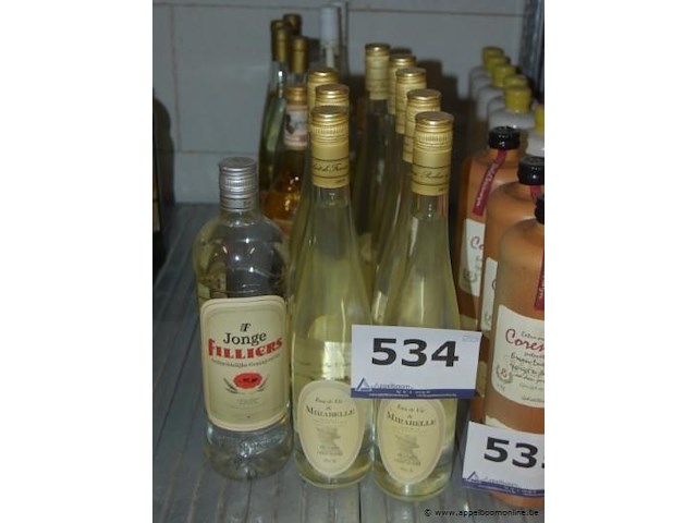 20x fles gedistilleerde drank, wo. 1x filliers jonge ambachtelijke graanjenever, diverse reserve du pere vages eau de vie de mirabelle en l'heritage de l'abbe rousseau marc de bourgogne - afbeelding 1 van  4