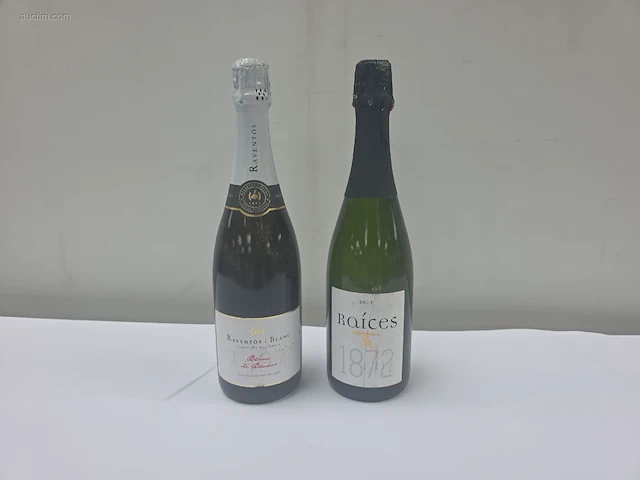 (20x) fles(sen) diverse flessen cava 75 - afbeelding 1 van  9