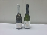 (20x) fles(sen) diverse flessen cava 75