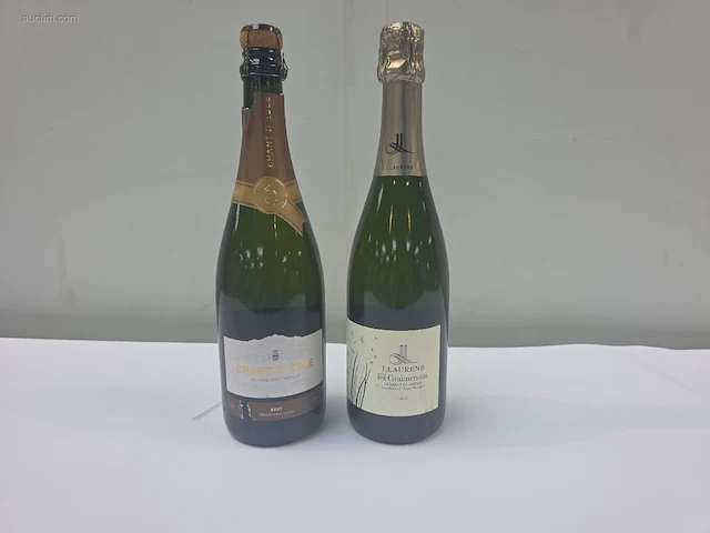 (20x) fles(sen) diverse flessen mousserende... - afbeelding 1 van  9