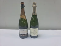 (20x) fles(sen) diverse flessen mousserende...