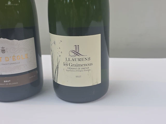 (20x) fles(sen) diverse flessen mousserende... - afbeelding 3 van  9