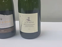 (20x) fles(sen) diverse flessen mousserende... - afbeelding 3 van  9