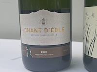 (20x) fles(sen) diverse flessen mousserende... - afbeelding 4 van  9
