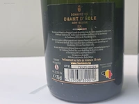 (20x) fles(sen) diverse flessen mousserende... - afbeelding 7 van  9