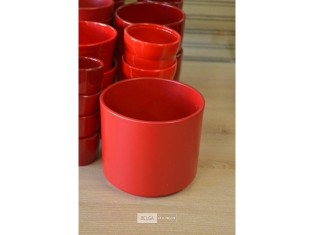 ±21 div maten rode bloempotten - afbeelding 2 van  5