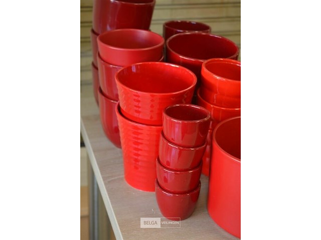 ±21 div maten rode bloempotten - afbeelding 3 van  5