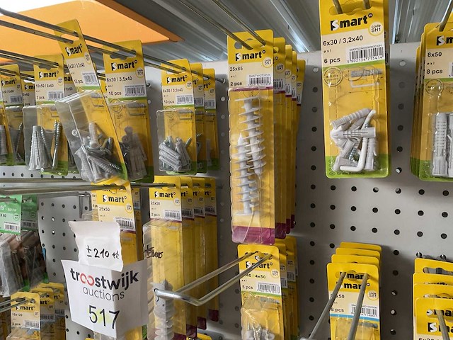 210 blisters bevestigingsmaterialen - afbeelding 2 van  22